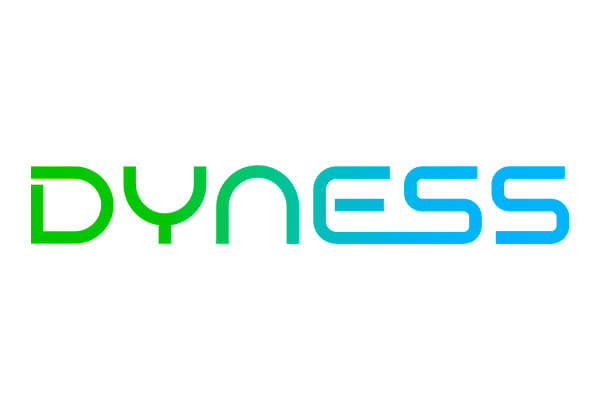 DYNESS